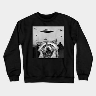 Alien UFO Funny Raccoon Stuffed Animal For Men, Women, Kids T-Shirt Crewneck Sweatshirt